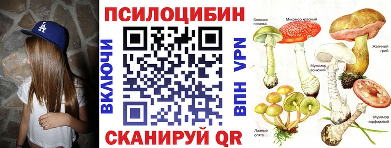 OMG вход  Петровск-Забайкальский  Галлюциногенные грибы Psilocybine cubensis 