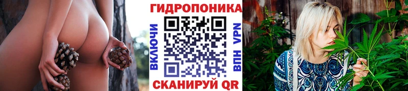 блэк спрут вход Петровск-Забайкальский МАРИХУАНА SATIVA & INDICA наркота